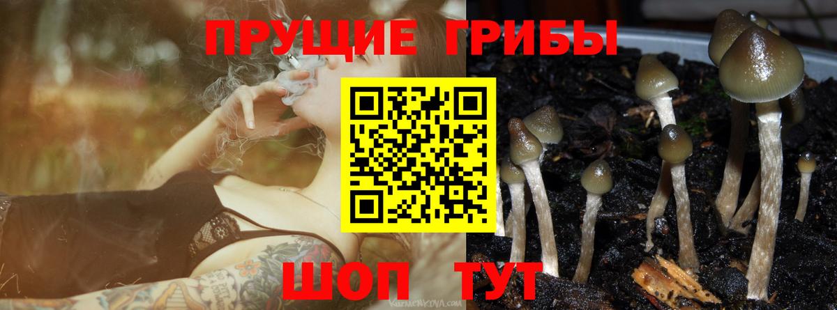 Сергиев Посад  Галлюциногенные грибы мицелий  Вход с VPN 